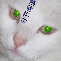 分节阅读 （白衣公卿）