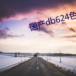 国产db624色谱柱