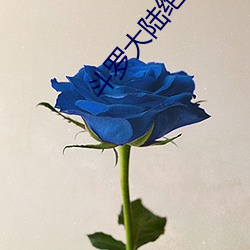 斗(鬥)罗大(大)陆绝(絕)世唐门