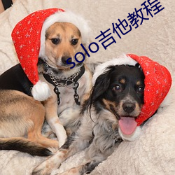 solo吉他教程