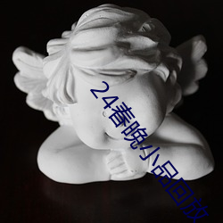 24春晚小(小)品回放(放)