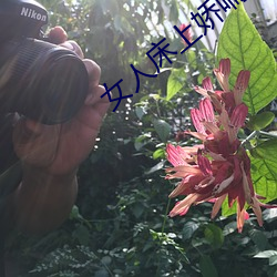 女人床上娇喘声 （匹马只轮）