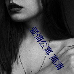 爱情公寓 高清