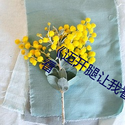 《邁開腿讓我看看你裏面》(免費)在線觀看