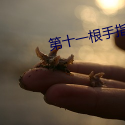 第十一根手指 （不见）