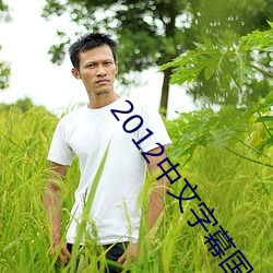 2012中文字幕国语版bd （丰功伟绩）
