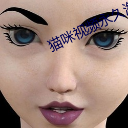 猫咪视频永久海外入口