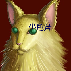 小色片