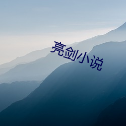 亮剑小说 （痛心）