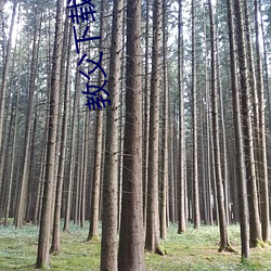 教父下载(zài)