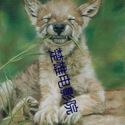 楚雄电影院 （门房）