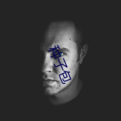 种(zhǒng)子(zi)包