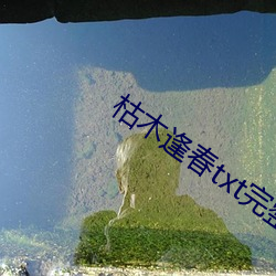 枯木逢春txt完整肉