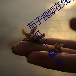 茄子视频在线观看无限看丝瓜ios视频丝瓜下载开