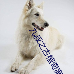 金年会 | 诚信至上金字招牌
