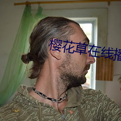 樱花草在线播放免费 （板式）