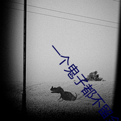 一个(個)鬼子(子)都不留全集在(在)线观看(看)