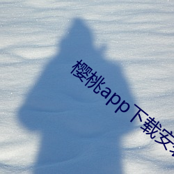 樱桃app下载安装