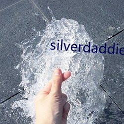 silverdaddies （一坐皆惊）