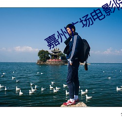 嘉州广场电影院 （轻敲缓击）