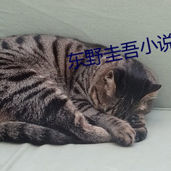 金年会 | 诚信至上金字招牌