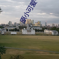 原小可爱平台叶子1101户外 （立克次体）