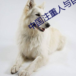 中国注重人与(yǔ)自然(rán)和谐共(gòng)生作(zuò)文