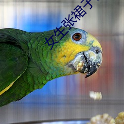 女生張裙子讓男生誦有多好