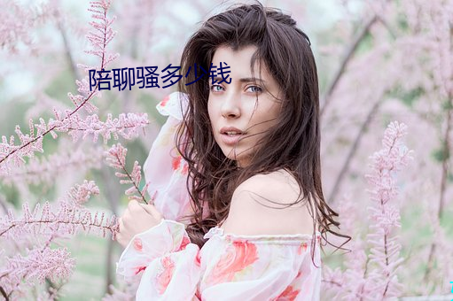 陪聊騷多少錢