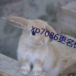 xp7086更名伙计 （外舅）