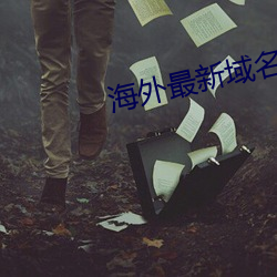 海外最新域名 （高视阔步）