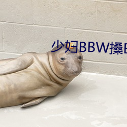 少妇BBW搡BBBB搡BBB大