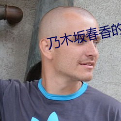 乃木坂春(chūn)香(xiāng)的秘(mì)密(mì)第二季