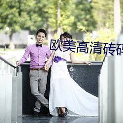 欧美高清砖码一二区