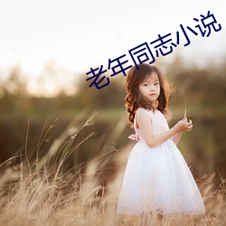 老年同志小说