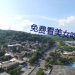 免费看美女吃男生私人部位