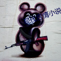 现代(dài)言情小说