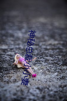 神秘总裁小小妻(妻)