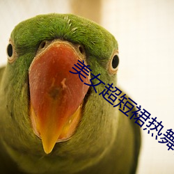 美女超短裙热舞视频