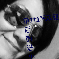 第1章嶽雙腿之間 掀起她的裙子從後面進小說