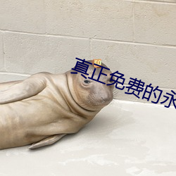 真正免费的永久软(ruǎn)件下载