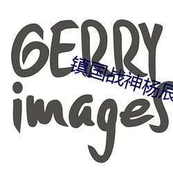 镇国战神杨辰