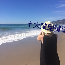 十大(大)禁用(用)黄直播app花姿(姿)