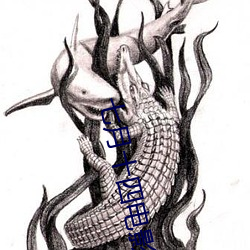 七月十四电影高清在线观看免费