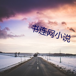 书连网小说