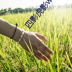 金年会 | 诚信至上金字招牌