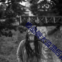 极品假太(tài)监混后宫(gōng)