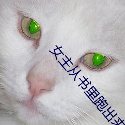 女主从(從)书里跑出(出)来(來)了(了)怎么(麽)办(辦)