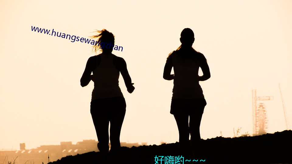 www.huangsewangzhan