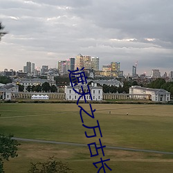 遮天之万古长空 （枝分缕解）